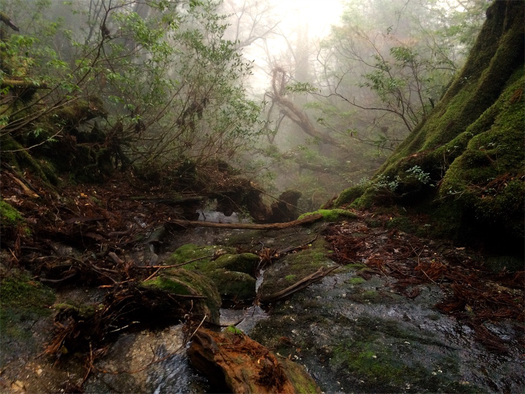 f:id:yamopeta:20160315194012j:image f:id:yamopeta:20160315194012j:image