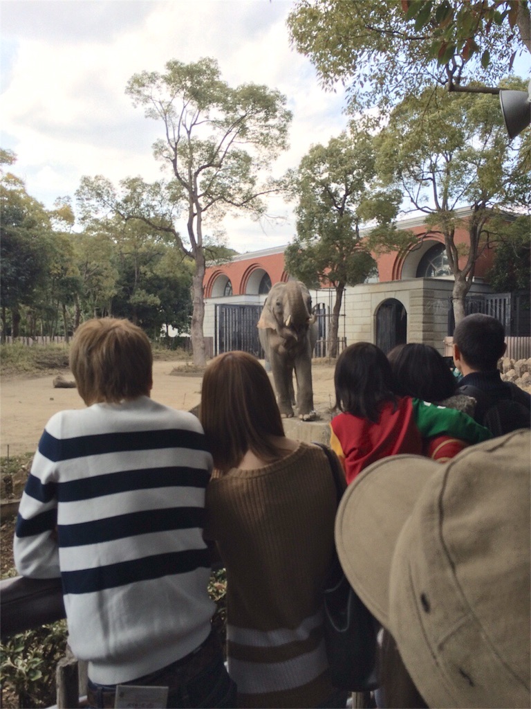 f:id:yamopeta:20160401223359j:image f:id:yamopeta:20160401223359j:image