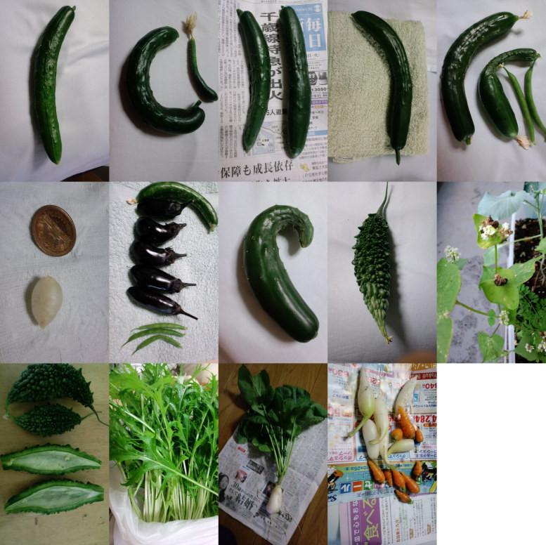 f:id:yamyaml:20131112195355j:plain f:id:yamyaml:20131112195355j:plain
