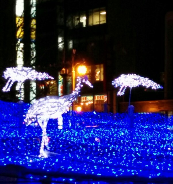 f:id:yamyaml:20141212231800j:image f:id:yamyaml:20141212231800j:image