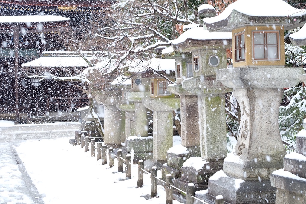 f:id:yang_corn:20160120134347j:image f:id:yang_corn:20160120134347j:image