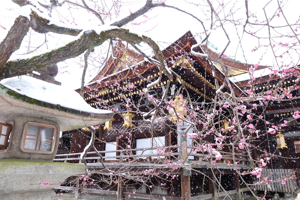 f:id:yang_corn:20160120134509j:image f:id:yang_corn:20160120134509j:image