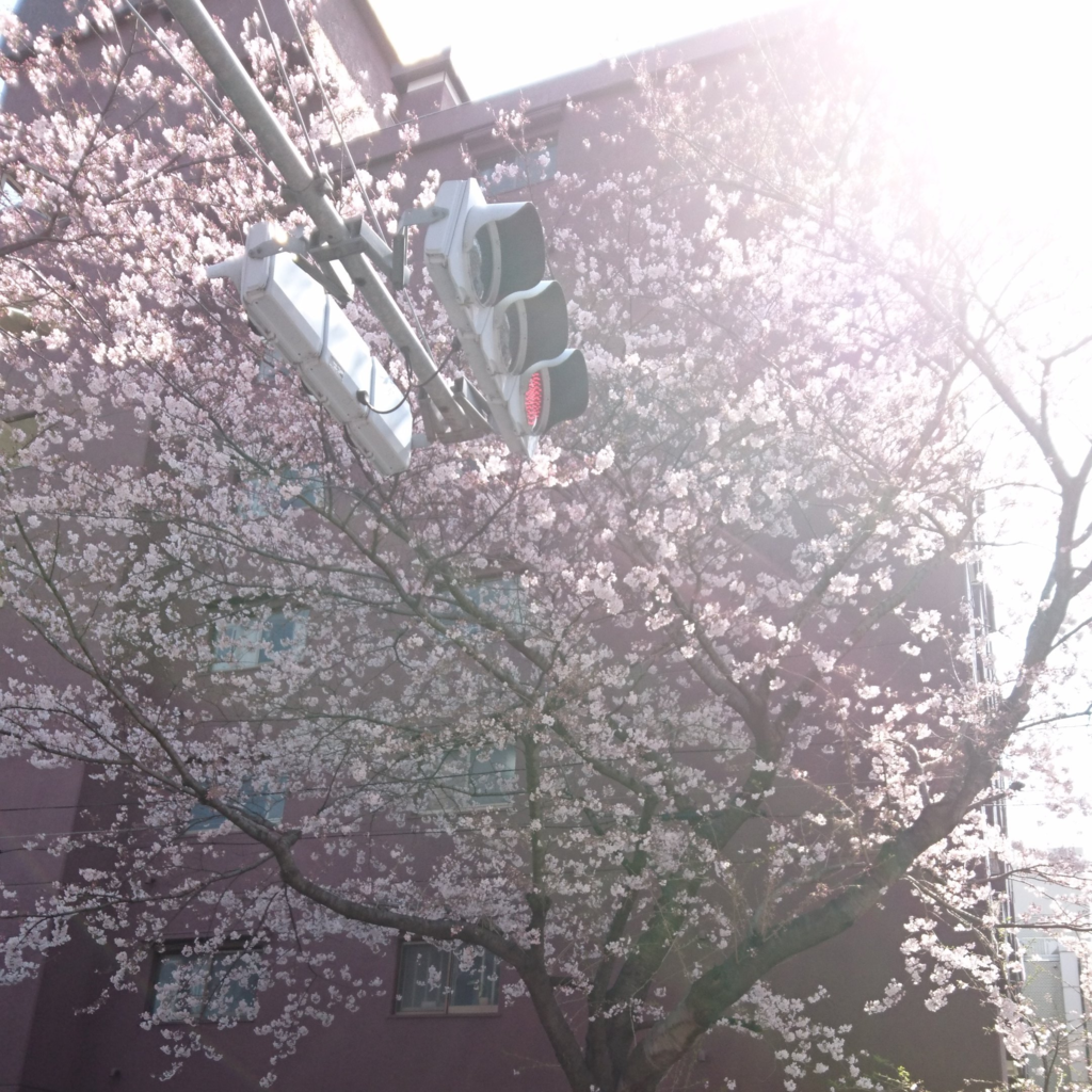 f:id:yanoshi:20160401234257p:plain f:id:yanoshi:20160401234257p:plain