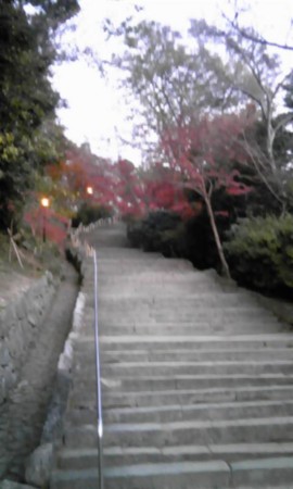 f:id:yarukimedesu:20121202171844j:image f:id:yarukimedesu:20121202171844j:image