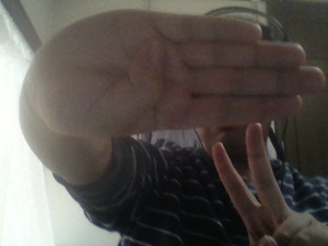 f:id:yarukimedesu:20151001151513j:plain