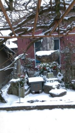 f:id:yarukimedesu:20160129142638j:plain