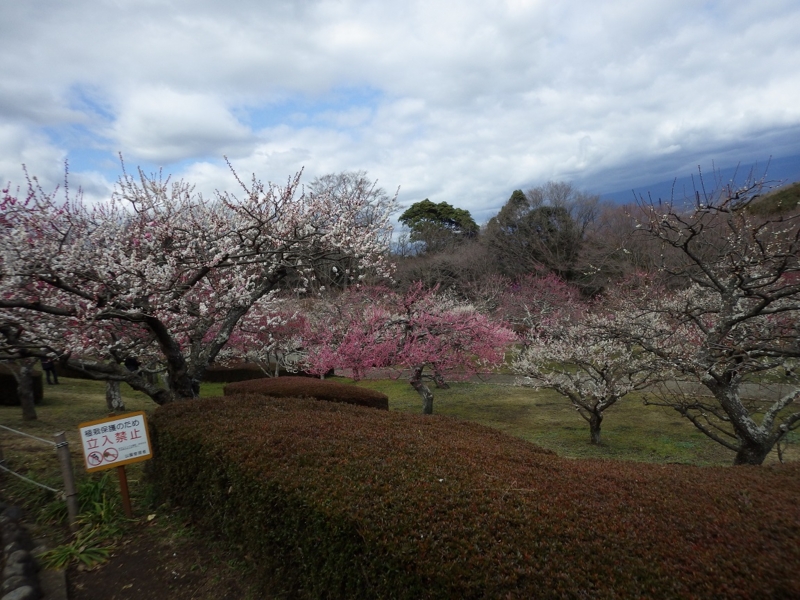 f:id:yasaigun:20150308194852j:plain f:id:yasaigun:20150308194852j:plain