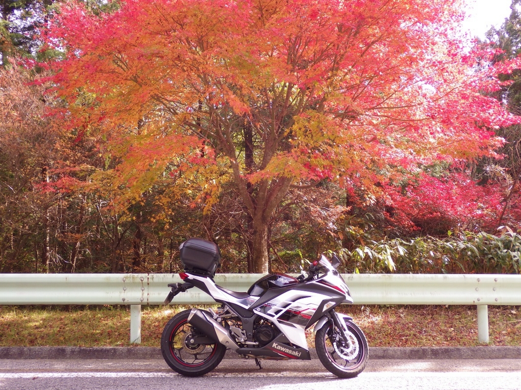 f:id:yasaigun:20151101174937j:plain f:id:yasaigun:20151101174937j:plain