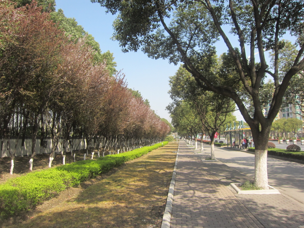 f:id:yaseteru:20151223095406j:plain f:id:yaseteru:20151223095406j:plain