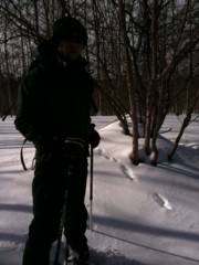 f:id:yashoku:20110123111815j:image f:id:yashoku:20110123111815j:image