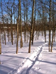 f:id:yashoku:20110123111829j:image f:id:yashoku:20110123111829j:image