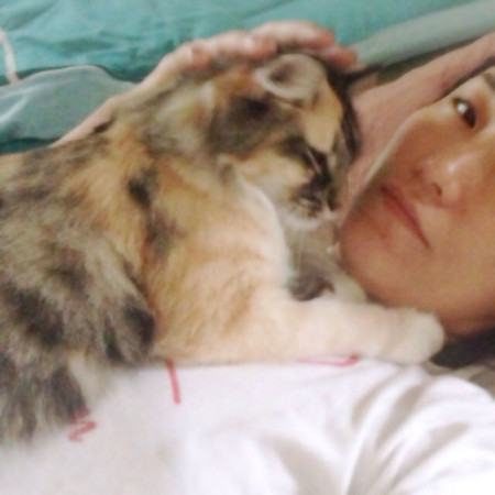f:id:yasno:20130911231333j:plain f:id:yasno:20130911231333j:plain