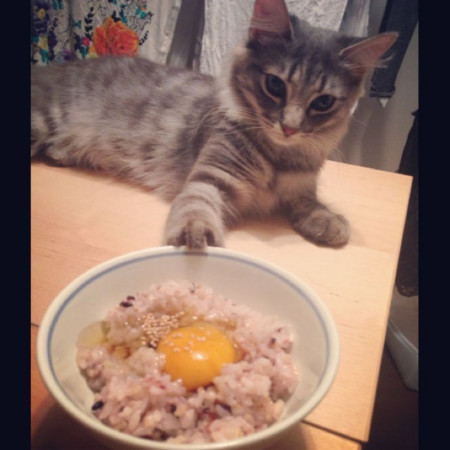 f:id:yasno:20130911231443j:plain f:id:yasno:20130911231443j:plain