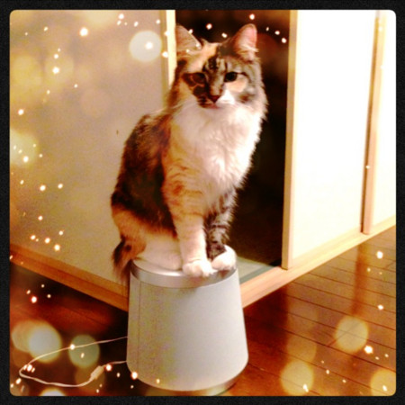f:id:yasno:20130911234628j:plain f:id:yasno:20130911234628j:plain