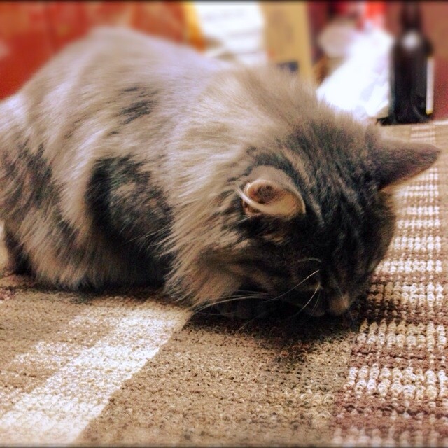 f:id:yasno:20131121193503j:plain f:id:yasno:20131121193503j:plain