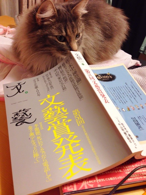 f:id:yasno:20141203230415j:plain f:id:yasno:20141203230415j:plain