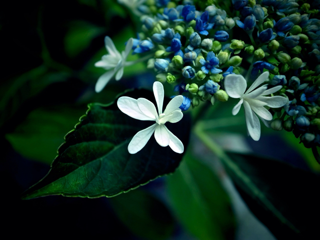 f:id:yasu008:20130503014911j:plain f:id:yasu008:20130503014911j:plain