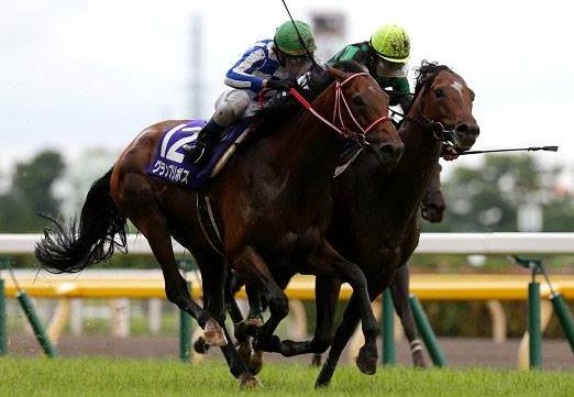 安田記念,ジャスタウェイ 安田記念,ジャスタウェイ