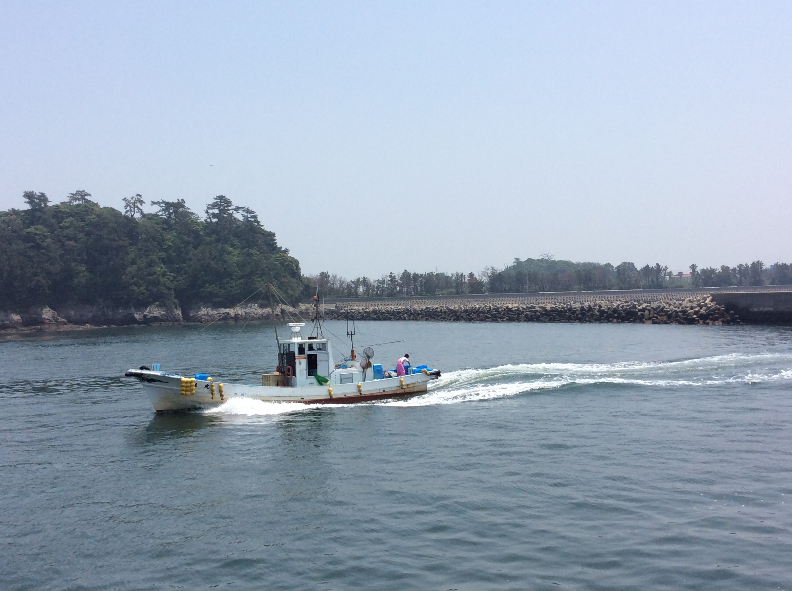 f:id:yasuhiko1010:20140601205103j:plain f:id:yasuhiko1010:20140601205103j:plain