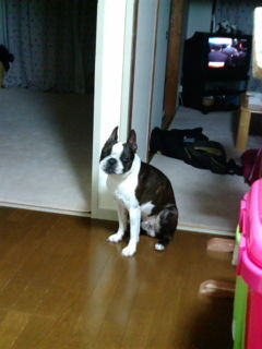 f:id:yasuhiroichigo:20090226232157j:image f:id:yasuhiroichigo:20090226232157j:image