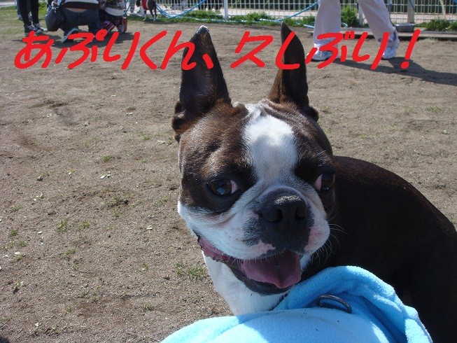 f:id:yasuhiroichigo:20100314020204j:image f:id:yasuhiroichigo:20100314020204j:image