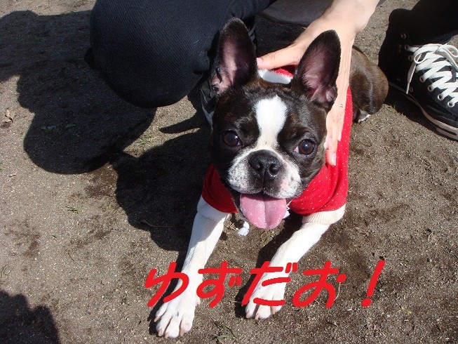 f:id:yasuhiroichigo:20100314020641j:image f:id:yasuhiroichigo:20100314020641j:image
