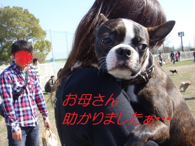 f:id:yasuhiroichigo:20100314021202j:image f:id:yasuhiroichigo:20100314021202j:image