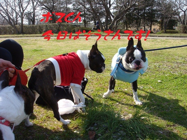 f:id:yasuhiroichigo:20100314025131j:image f:id:yasuhiroichigo:20100314025131j:image