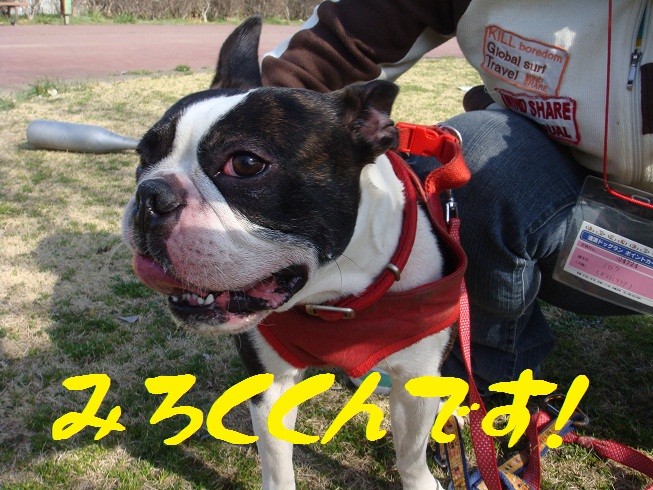 f:id:yasuhiroichigo:20100314025741j:image f:id:yasuhiroichigo:20100314025741j:image