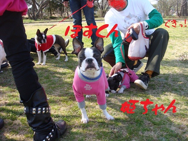 f:id:yasuhiroichigo:20100314030443j:image f:id:yasuhiroichigo:20100314030443j:image