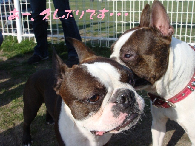 f:id:yasuhiroichigo:20100314033514j:image f:id:yasuhiroichigo:20100314033514j:image