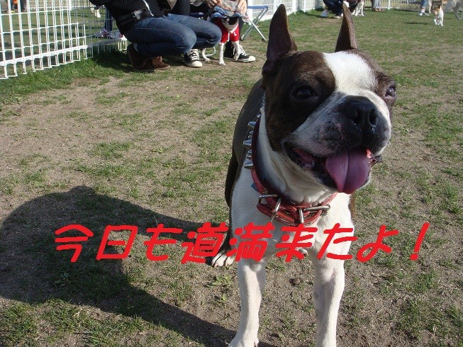 f:id:yasuhiroichigo:20100314033524j:image f:id:yasuhiroichigo:20100314033524j:image