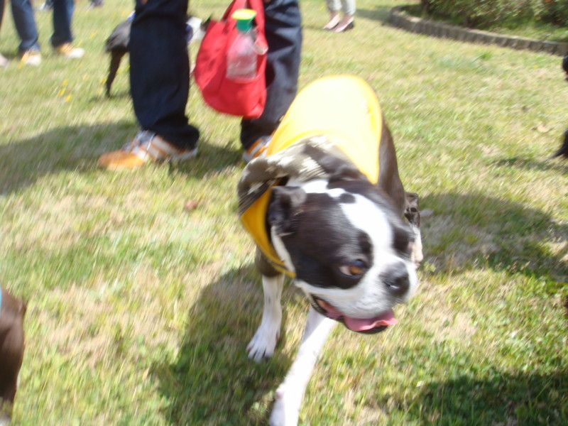 f:id:yasuhiroichigo:20100418000018j:image f:id:yasuhiroichigo:20100418000018j:image