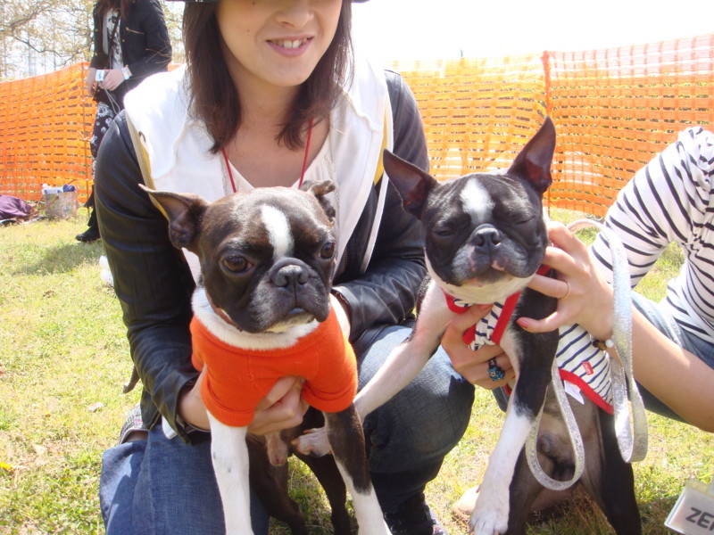 f:id:yasuhiroichigo:20100418000324j:image f:id:yasuhiroichigo:20100418000324j:image