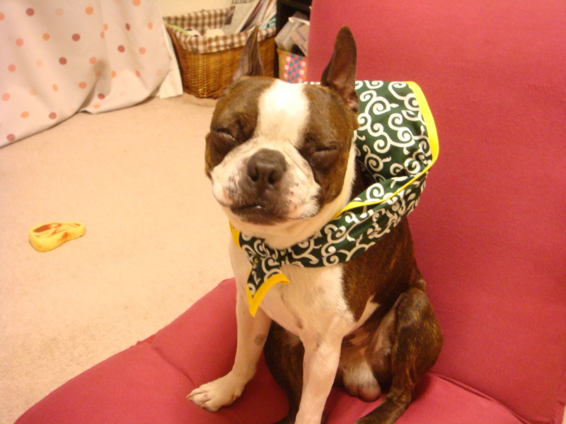 f:id:yasuhiroichigo:20100601100234j:image f:id:yasuhiroichigo:20100601100234j:image