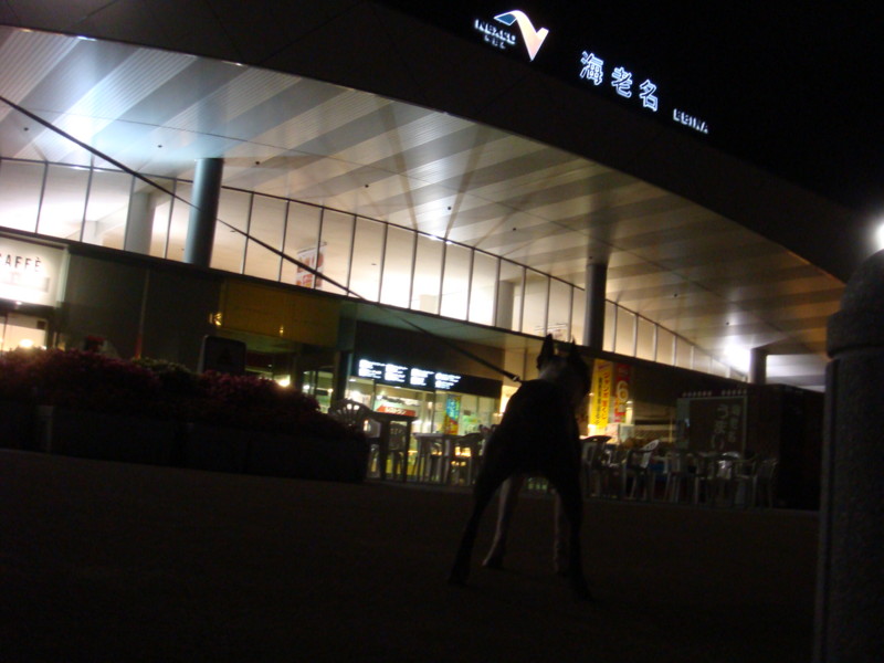 f:id:yasuhiroichigo:20100603112713j:image f:id:yasuhiroichigo:20100603112713j:image