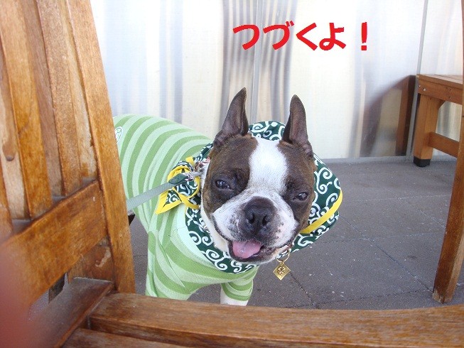 f:id:yasuhiroichigo:20100603210100j:image f:id:yasuhiroichigo:20100603210100j:image