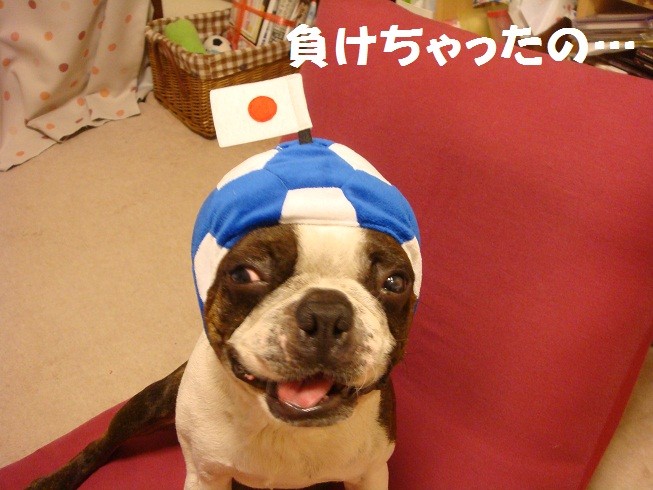 f:id:yasuhiroichigo:20100702104625j:image f:id:yasuhiroichigo:20100702104625j:image