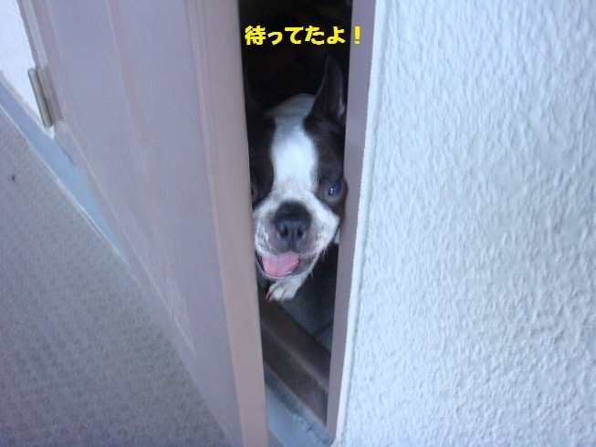 f:id:yasuhiroichigo:20100802065229j:image f:id:yasuhiroichigo:20100802065229j:image