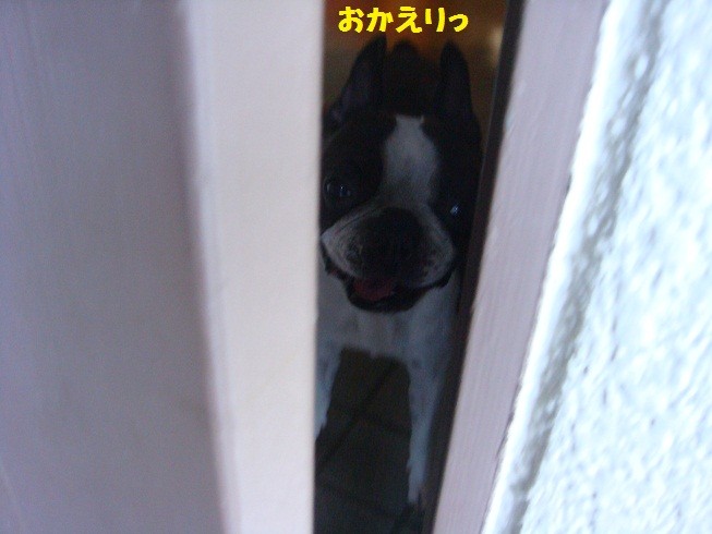 f:id:yasuhiroichigo:20100802065300j:image f:id:yasuhiroichigo:20100802065300j:image