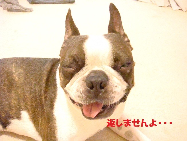 f:id:yasuhiroichigo:20100802065800j:image f:id:yasuhiroichigo:20100802065800j:image