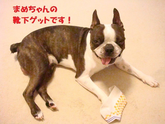 f:id:yasuhiroichigo:20100802065830j:image f:id:yasuhiroichigo:20100802065830j:image