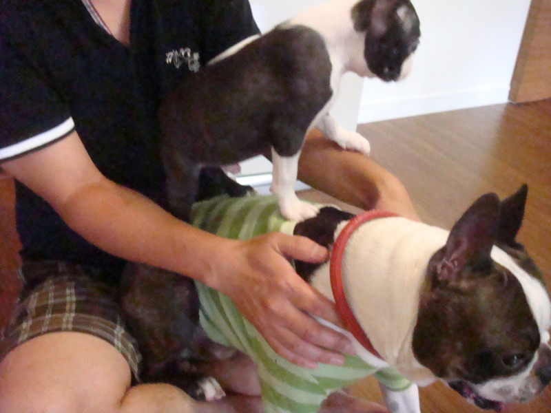 f:id:yasuhiroichigo:20100808034427j:image f:id:yasuhiroichigo:20100808034427j:image