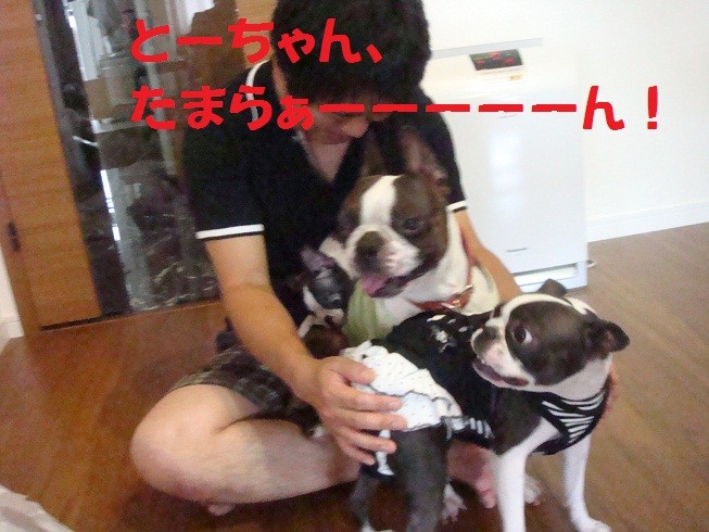 f:id:yasuhiroichigo:20100808034502j:image f:id:yasuhiroichigo:20100808034502j:image