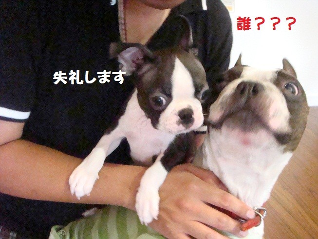 f:id:yasuhiroichigo:20100808035210j:image f:id:yasuhiroichigo:20100808035210j:image