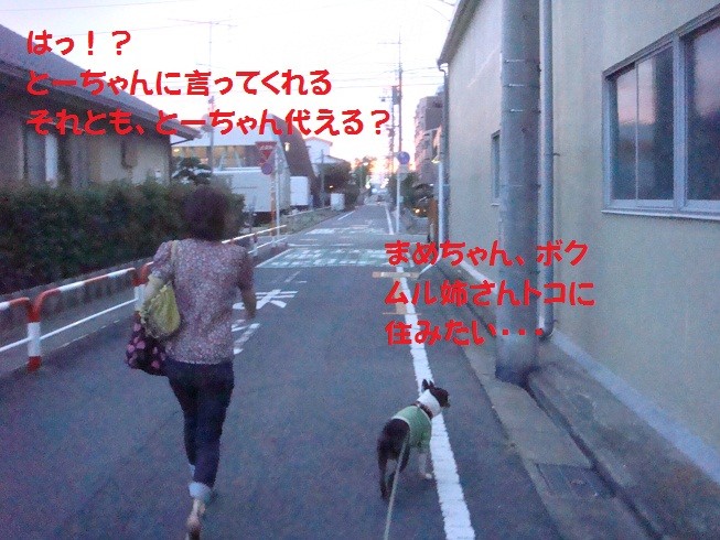f:id:yasuhiroichigo:20100808071727j:image f:id:yasuhiroichigo:20100808071727j:image
