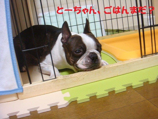 f:id:yasuhiroichigo:20100817190937j:image f:id:yasuhiroichigo:20100817190937j:image