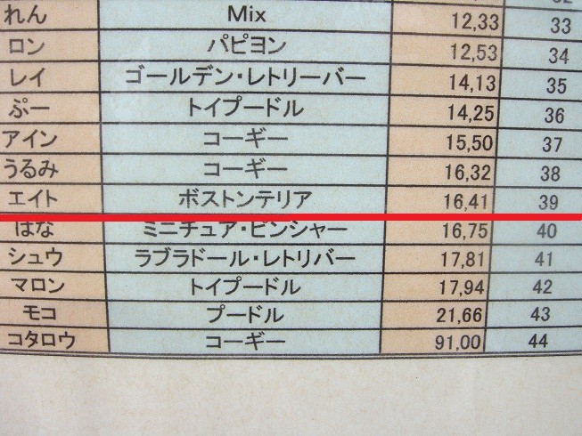 f:id:yasuhiroichigo:20100818222900j:image f:id:yasuhiroichigo:20100818222900j:image