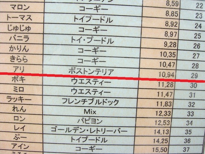 f:id:yasuhiroichigo:20100818222919j:image f:id:yasuhiroichigo:20100818222919j:image