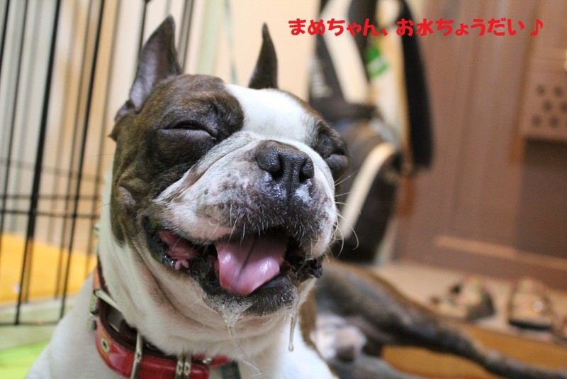 f:id:yasuhiroichigo:20100823194902j:image f:id:yasuhiroichigo:20100823194902j:image